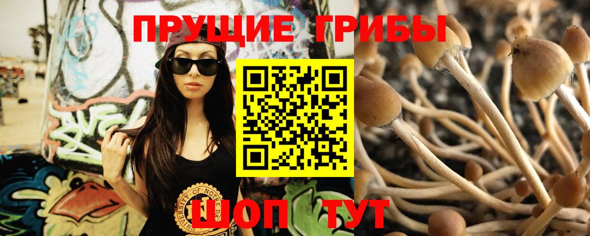 Псилоцибиновые грибы Cubensis  Псилоцибиновые грибы Psilocybine cubensis  Новороссийск  Вход с VPN 